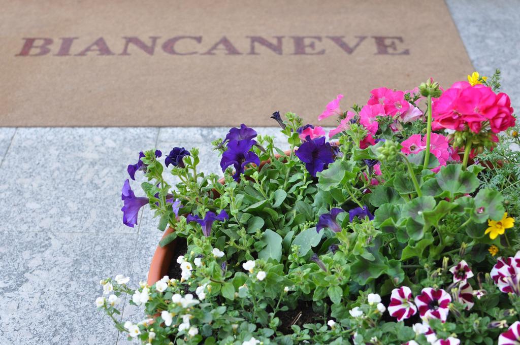 Residence Biancaneve อาปริกา ภายนอก รูปภาพ
